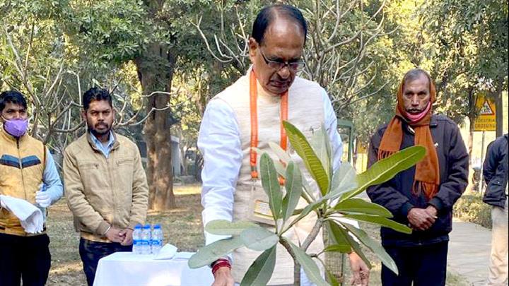 मुख्यमंत्री श्री चौहान ने नई दिल्ली प्रवास पर पौध-रोपण किया
